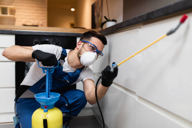 Best Exterminator Services  in Chevy Chase View, MD